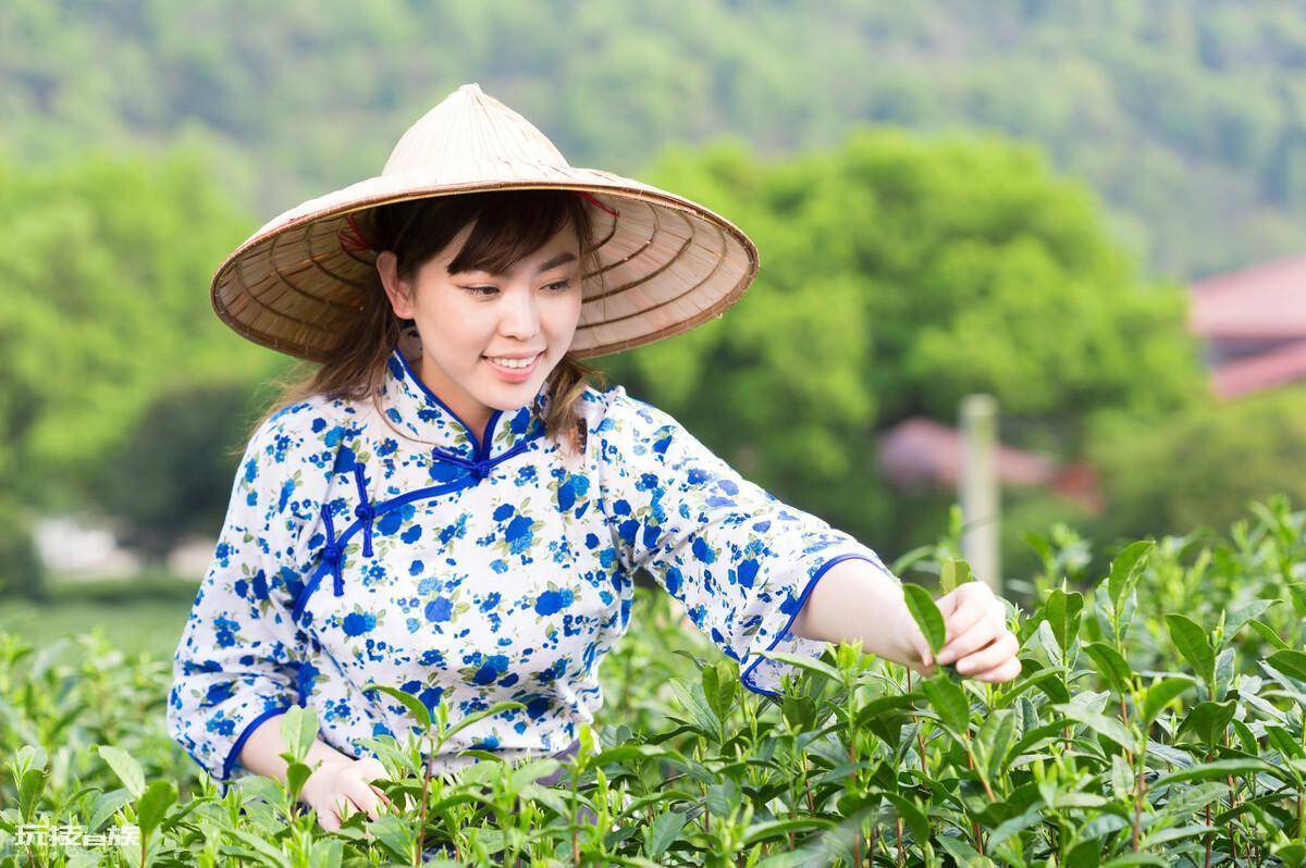 香茗与茶有什么区别图片(所谓香茗茶属于什么茶类)-图片2